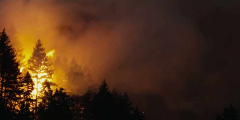 (Fire crackling)