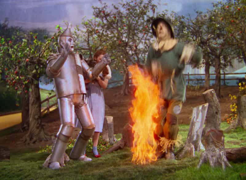 Fire! I'm burning! I'm burning!