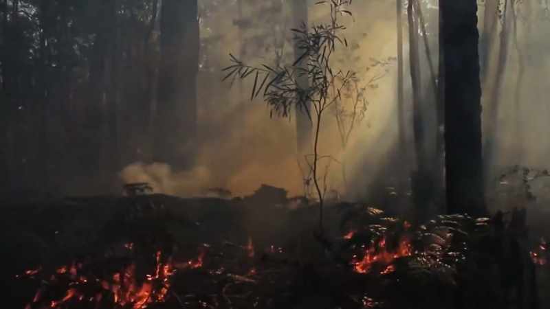 FIREFIGHTER 1: Cultural burning is not just about