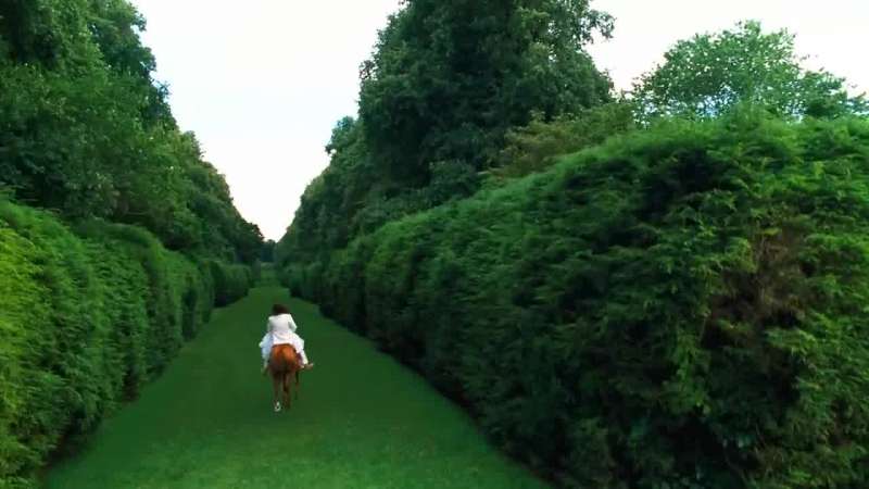 First your father now the horse