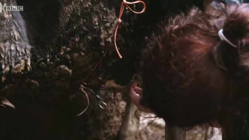 First, she must find the hole
