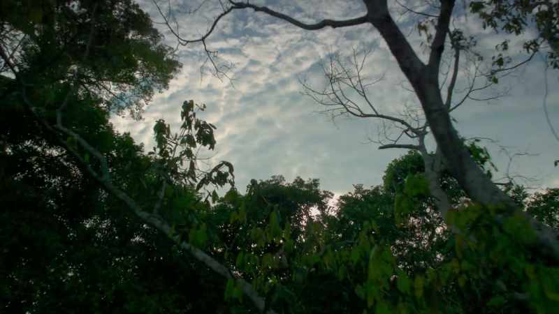 First off with tiny particles attracted by
