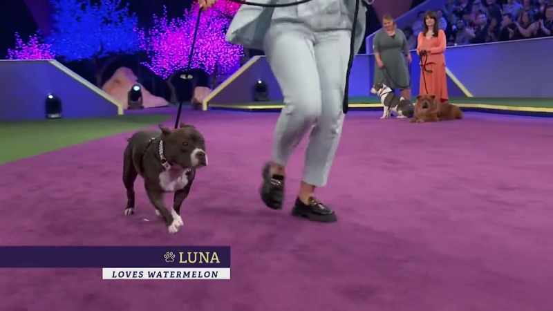 First up is Luna