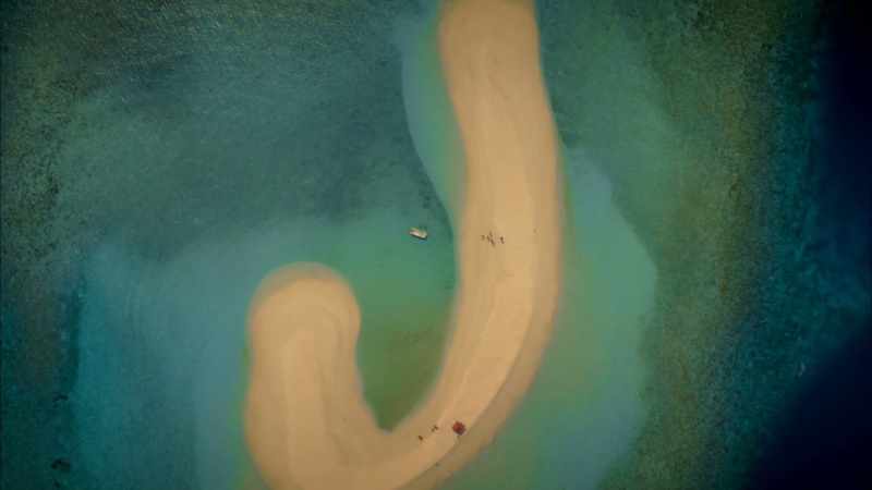 Fish form the fresh beach