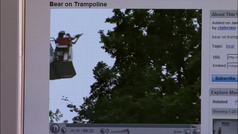 Fish and game officials tranquilized the bear