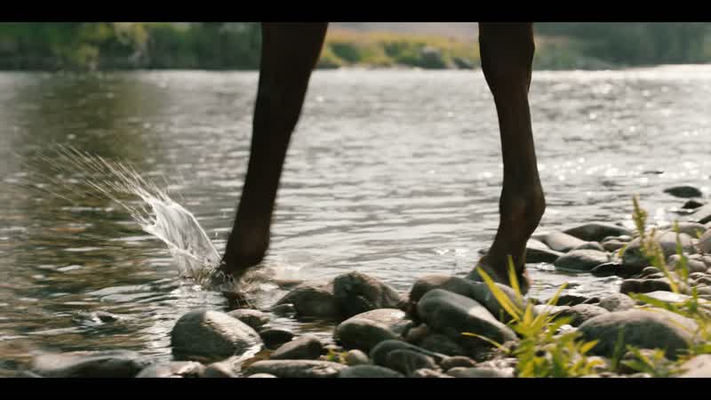 �� ♪ - Fish on