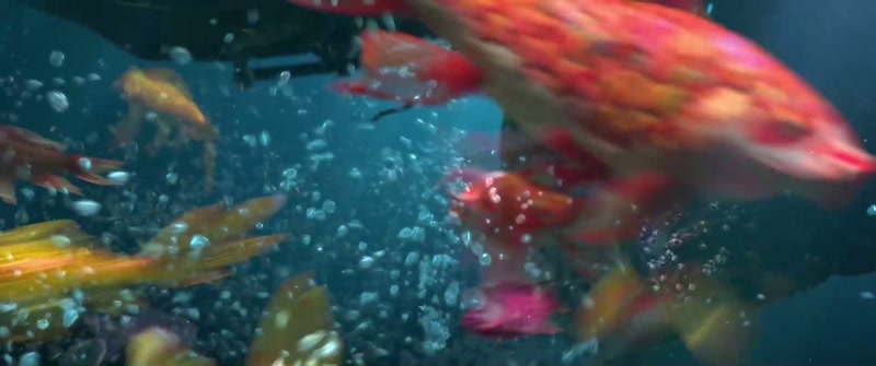 (fish yelling) (water burbling)