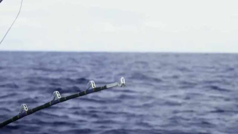 [fishing rod reeling]