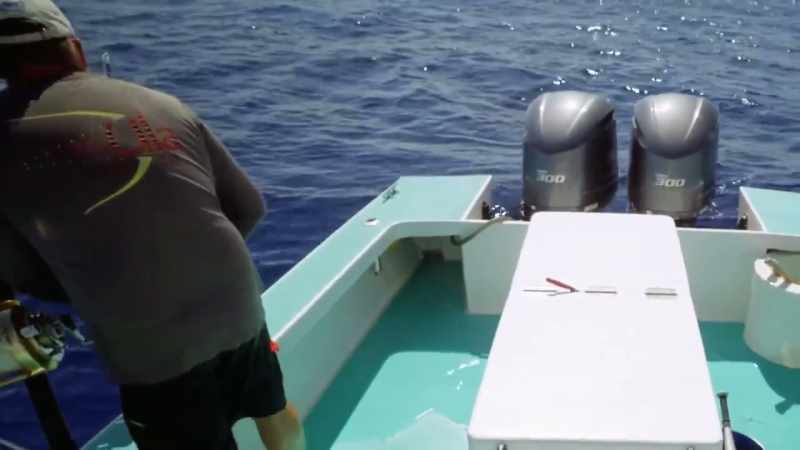 [fishing rod reeling]