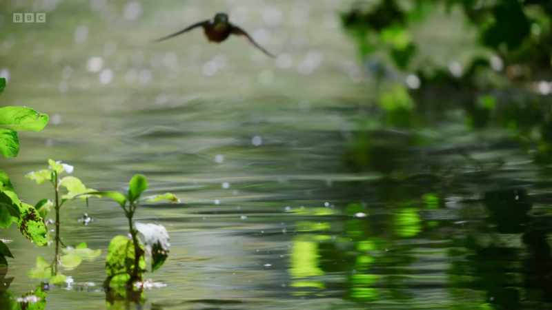Fishing territories are vigorously defended