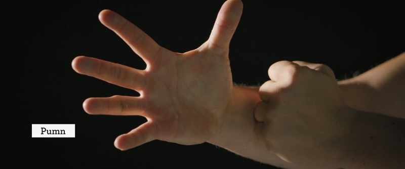 [Fist]