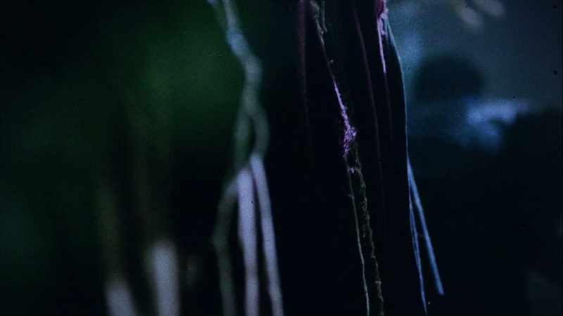 Five days later, Hugh Glass is not dead. They get scared