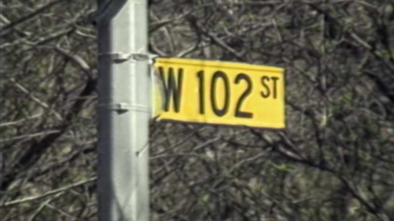 Five suspects were arrested outside the park