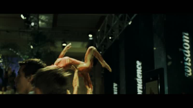 fixed in dramatic and athletic poses that reveal the true-to-life spatial relationships amongst organs