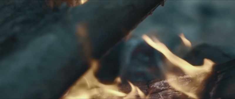 (flames crackling)