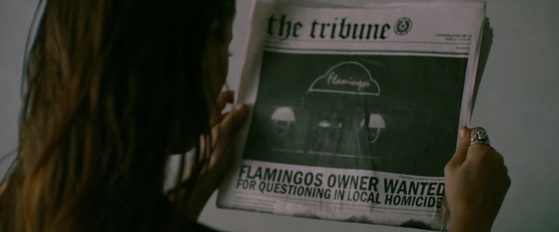 Flamingo. Flamingo