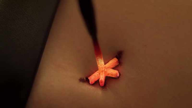 [flesh sizzling] -[aubrey screaming]