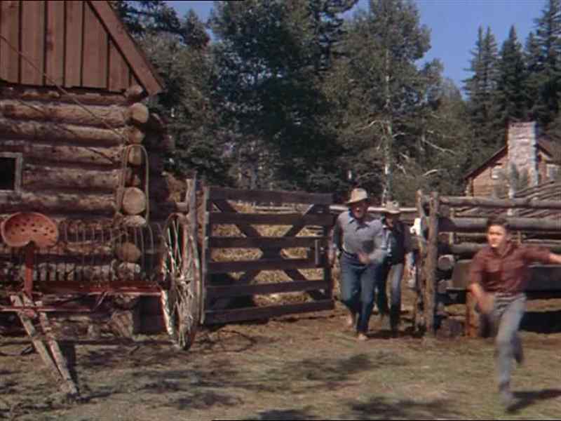 Flicka!