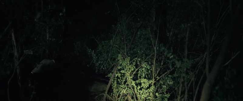 [flies buzzing]