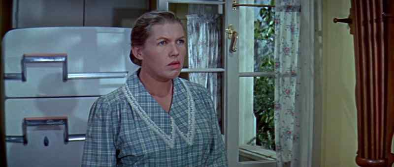 Flies, madame? - Yes. Close the windows