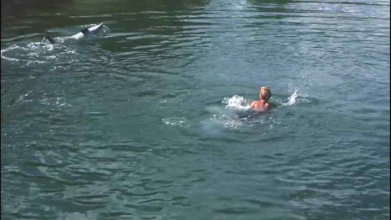 Flipper, come here!