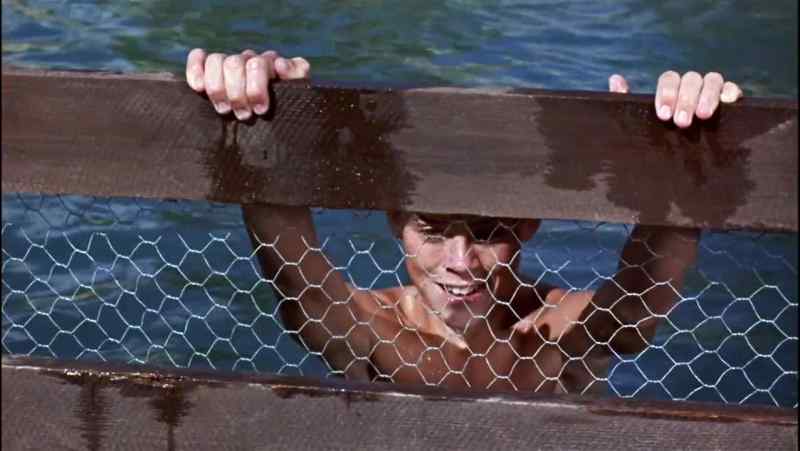 Flipper! Where have you been?