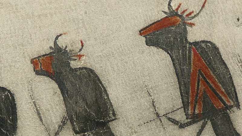 Flores: An animal whose head is painted like that