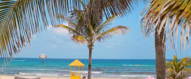 �� Florida ♪