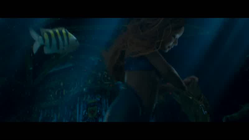 Flounder look out