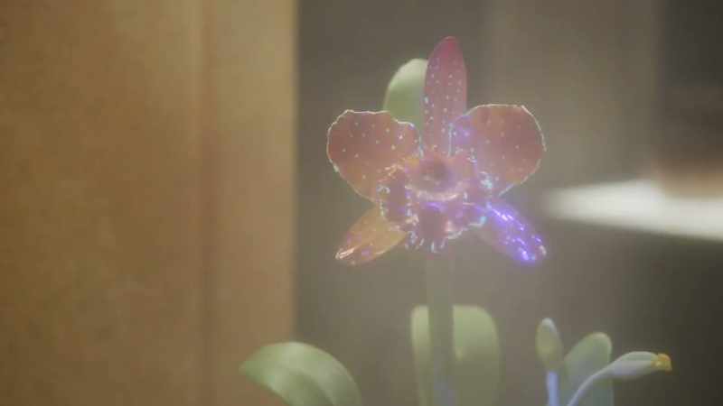 [flower sprays]