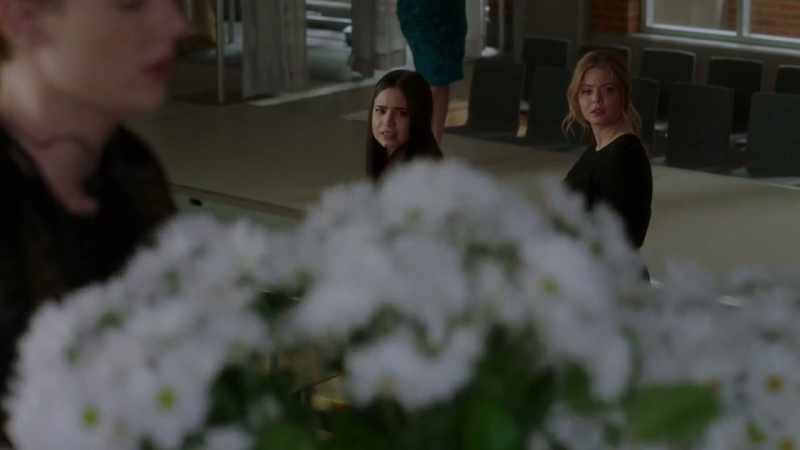 Flowers are here. - Daisies?