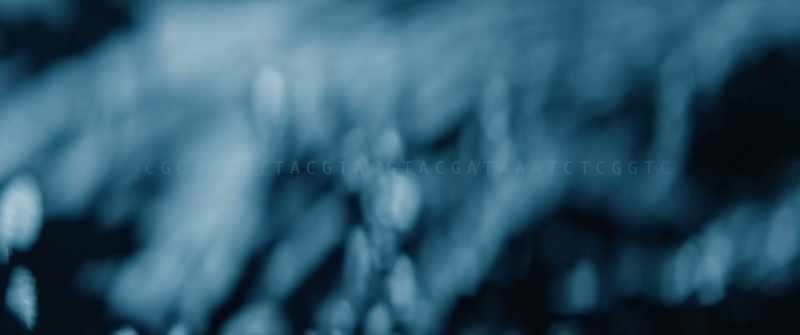 [flowing water]
