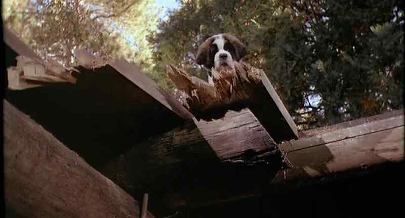 Floyd, go check on Missy. - She's fine