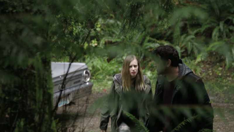 Focuses right into-- right into these woods