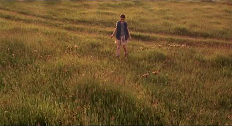 Follow her around like that