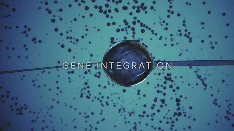 Following another abduction, an embryo is implanted