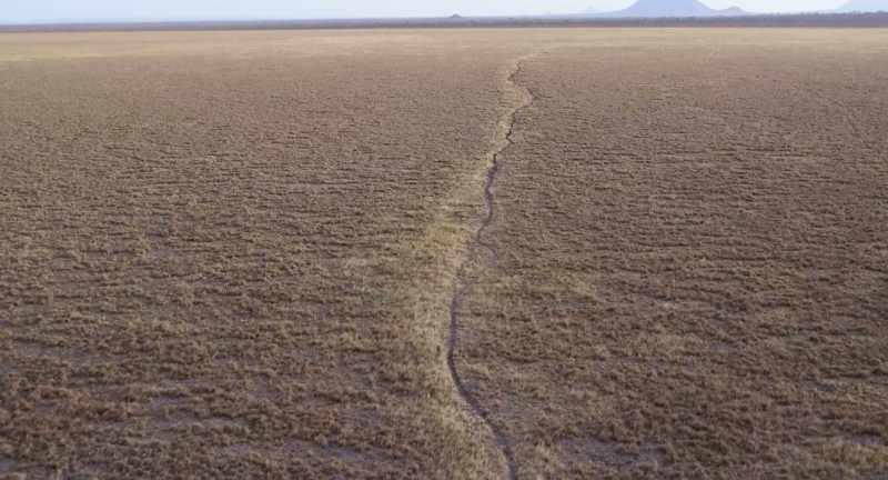 Following the same paths as the elephants