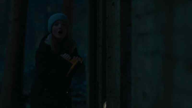 Cormoran?