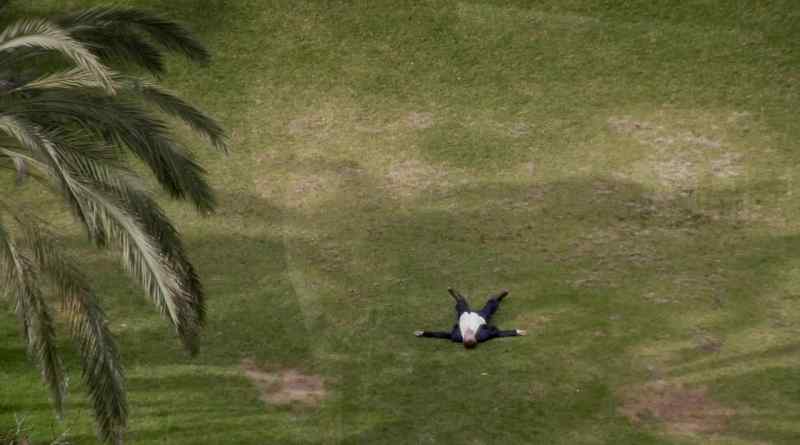 (Bird squawks)