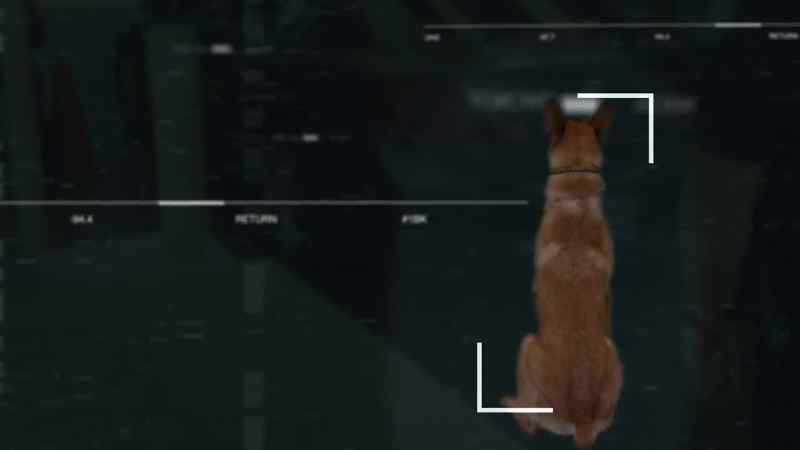 {\an1}He alerted to odor