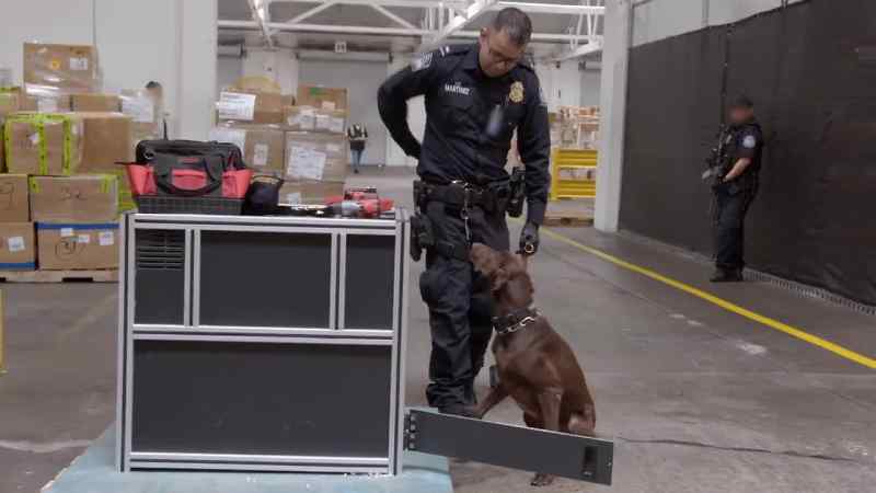 {\an1}LOPEZ: K9 alerted