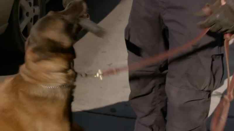 {\an1}MENDEZ: Good boy