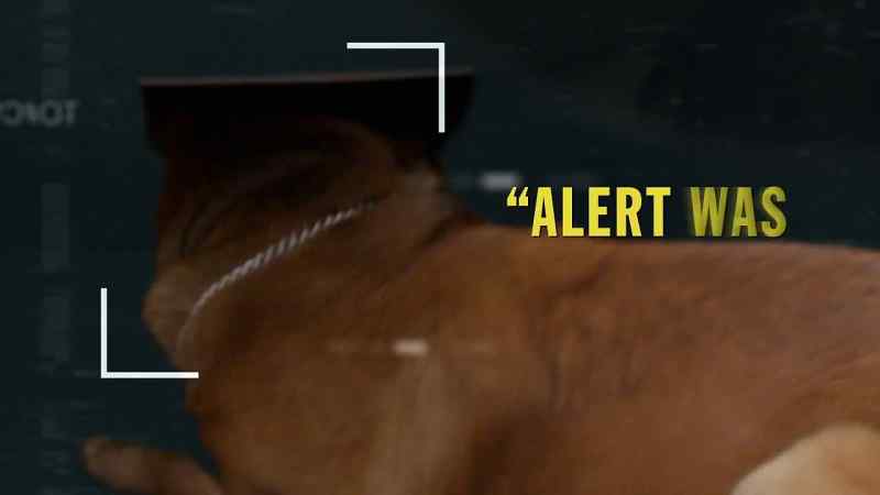 {\an1}OFFICER: Alert was positive