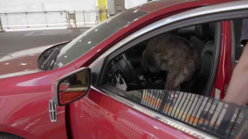 {\an1}OFFICER: Good boy