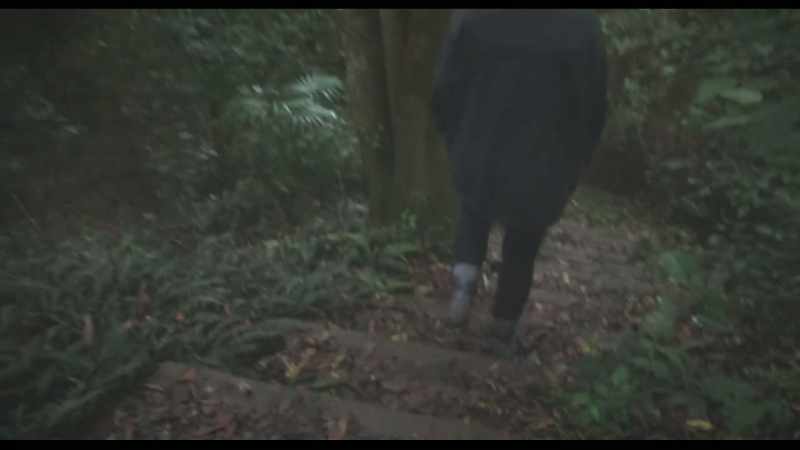 (footsteps crunching) (crickets chirping)