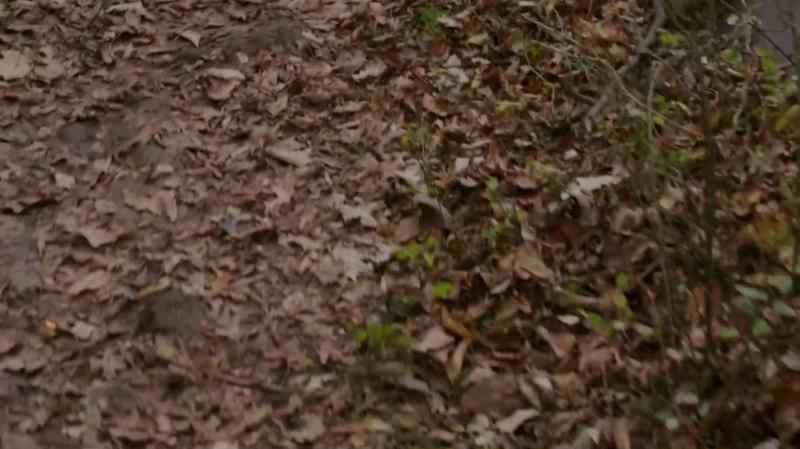 [footsteps rustling]