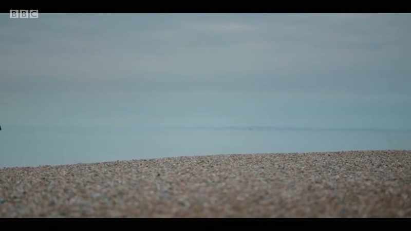 FOOTSTEPS