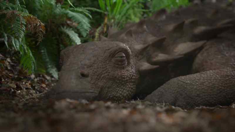 For every growing animal, this is a vulnerable time