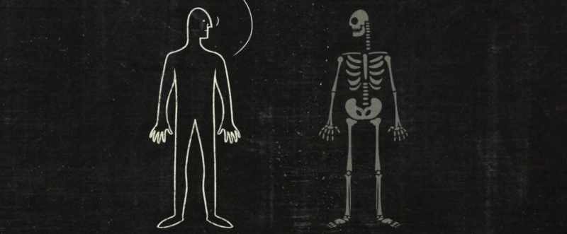 For example, I can tell the body to have x-ray vision