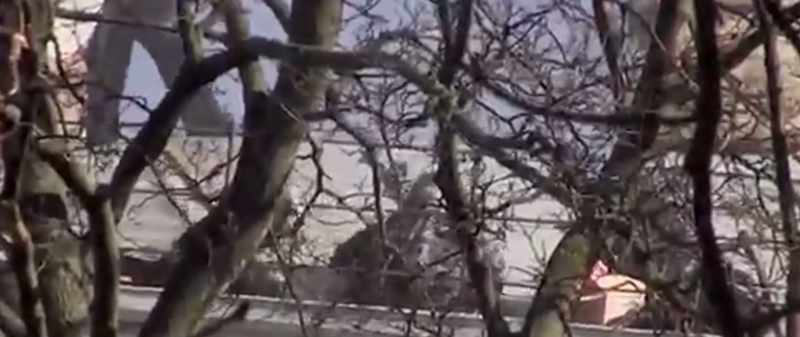 For example, the Russian special forces